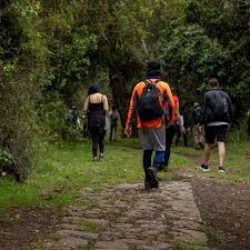 Caminata Ecológica al Cerro Manjui